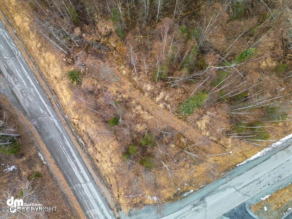 Chugiak, AK 99567,L11 Jasmine RD