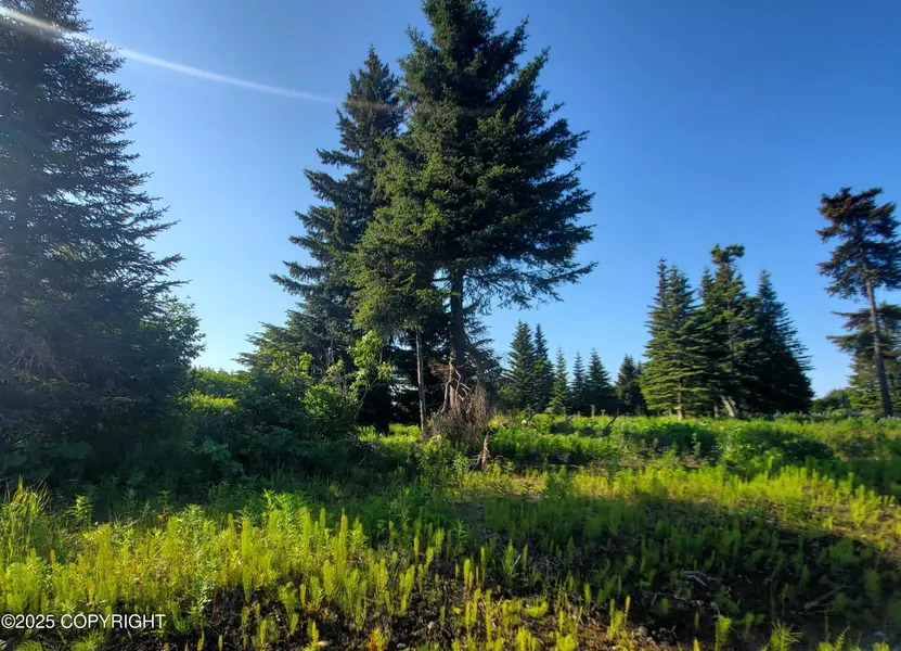 17619 Chefornak ST, Ninilchik, AK 99639