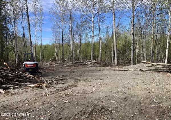 Willow, AK 99688,14713 N Sundew CIR