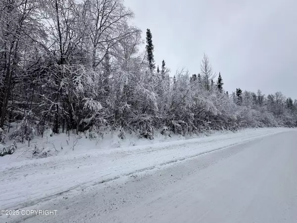 Willow, AK 99688,46923 S Amundsen AVE