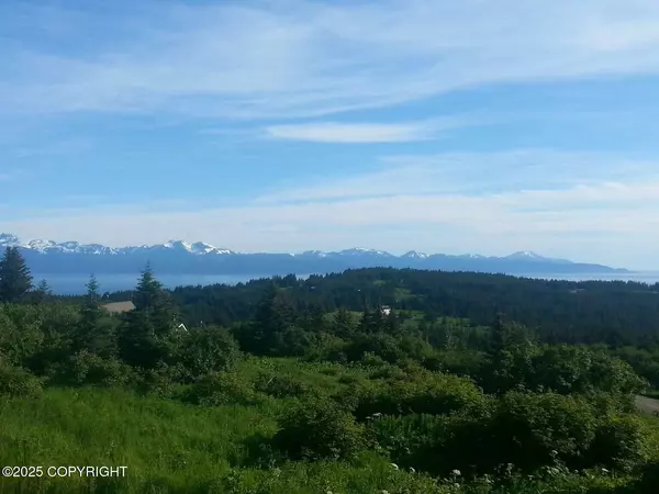 Homer, AK 99603,41650 Charlie DR