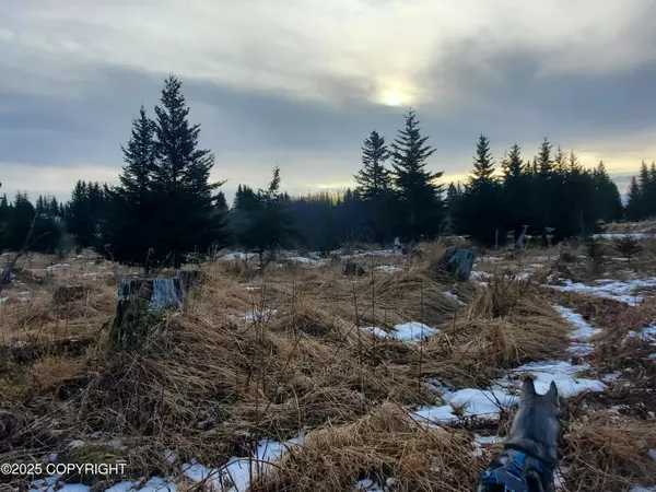 Ninilchik, AK 99639,17664 Chefornak ST