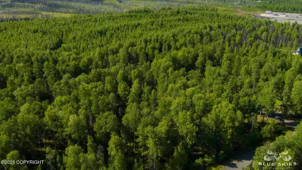 Talkeetna, AK 99676,16016 E Greenleaf DR