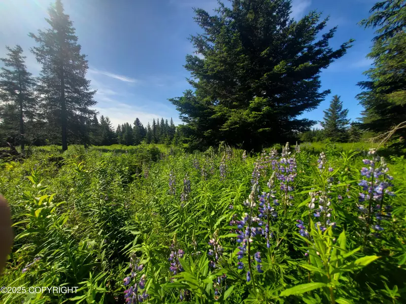 17502 Chefornak ST, Ninilchik, AK 99639