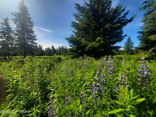 17502 Chefornak ST, Ninilchik, AK 99639