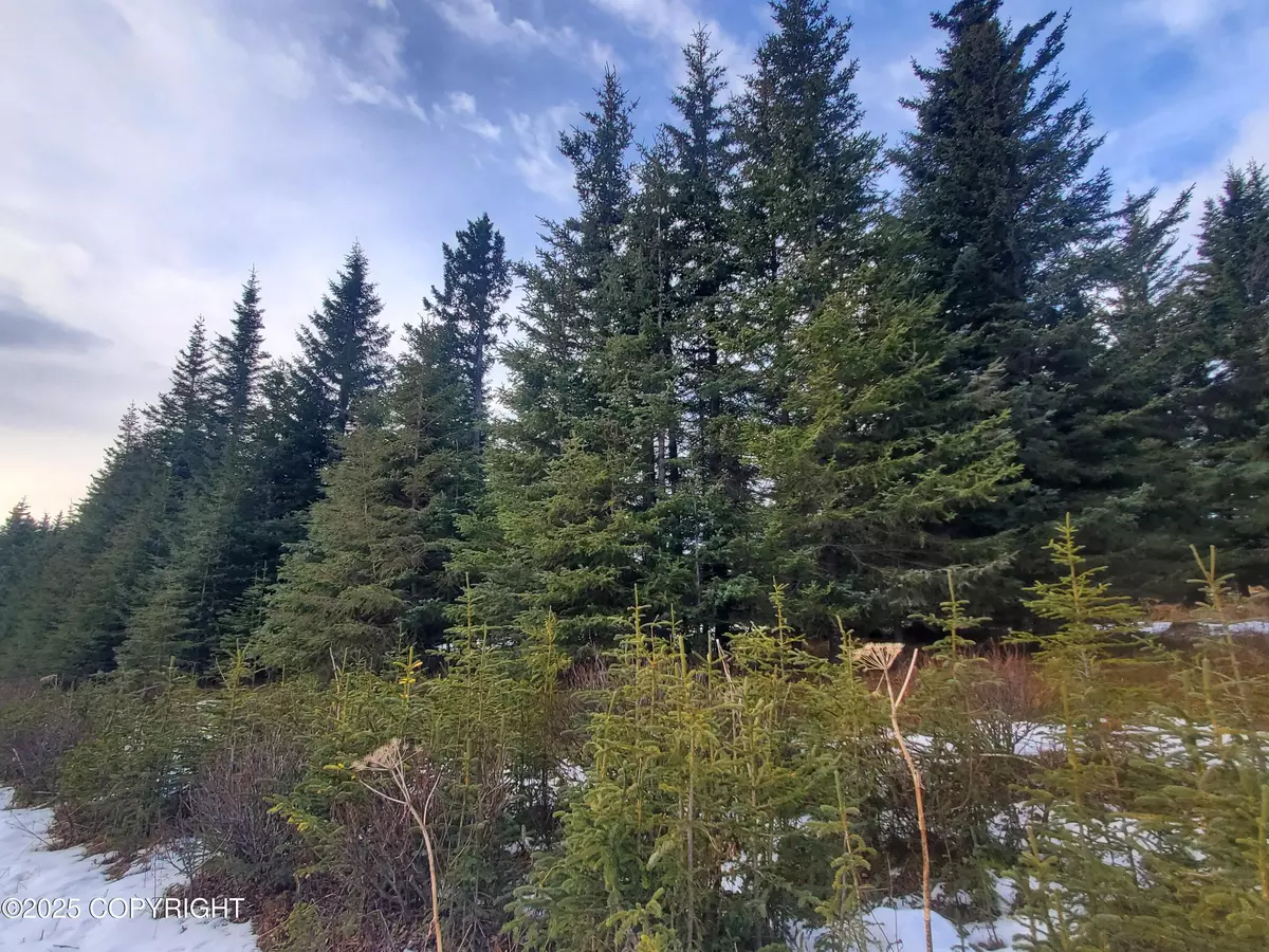 Ninilchik, AK 99639,17491 Kimeluk ST