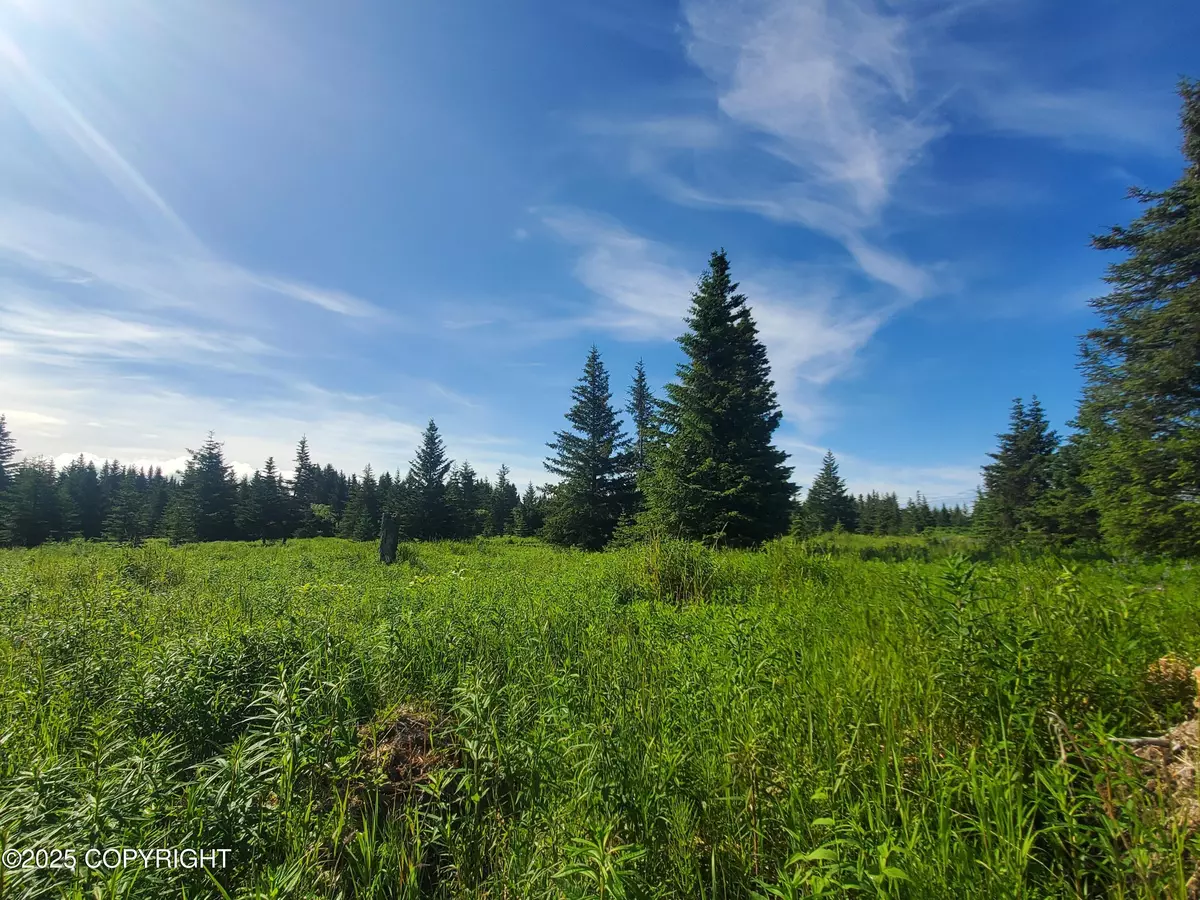 Ninilchik, AK 99639,17584 Chefornak ST