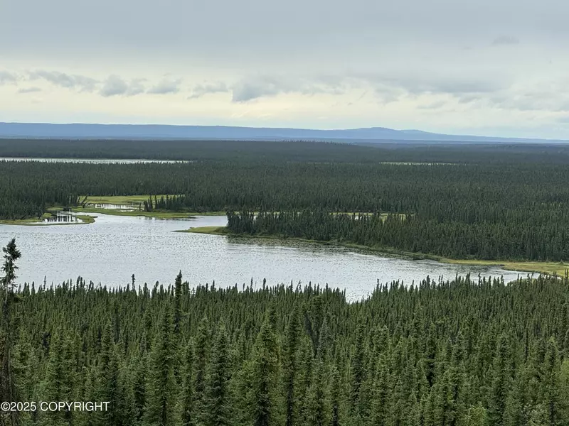 L7 Lou Anne LN, Gakona, AK 99586