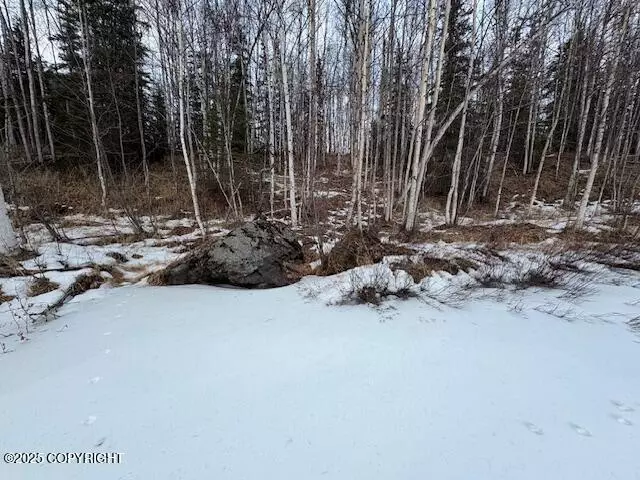 L 4 No Road, Big Lake, AK 99652