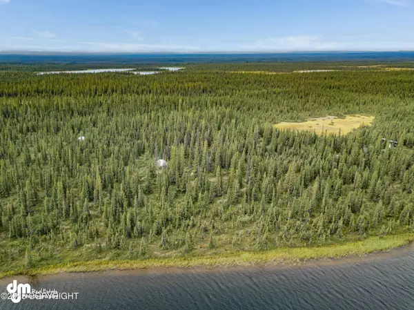 Chitina, AK 99566,93-60 Tract C of ASLS No Road
