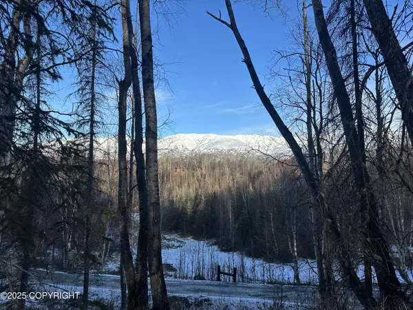 L6 B2 Spruce Hen, Wasilla, AK 99645