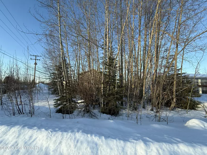 L11 B17 E 6th AVE, North Pole, AK 99705