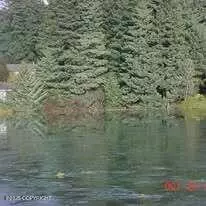 Kodiak, AK 99615,1716 Larch ST