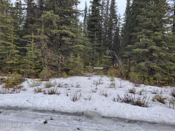 L13 B3 Squirrel ST, Kasilof, AK 99610