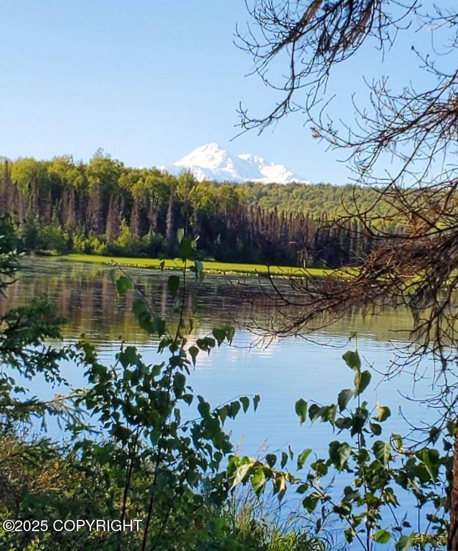 Tr F1 No Road, Talkeetna, AK 99676