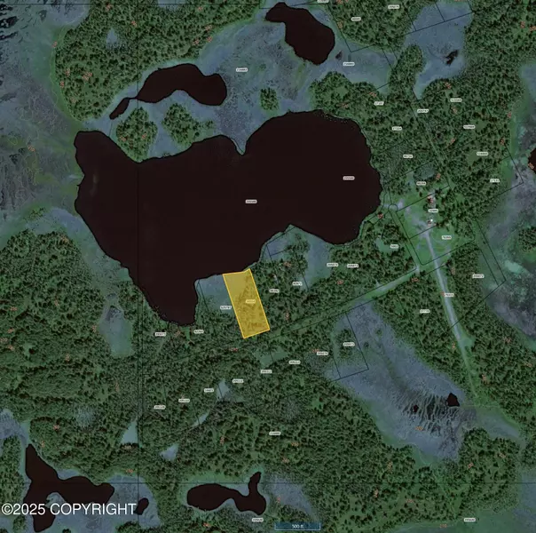 L4 B4 Skewntna Flats ASLS 80-126, Skwentna, AK 99667
