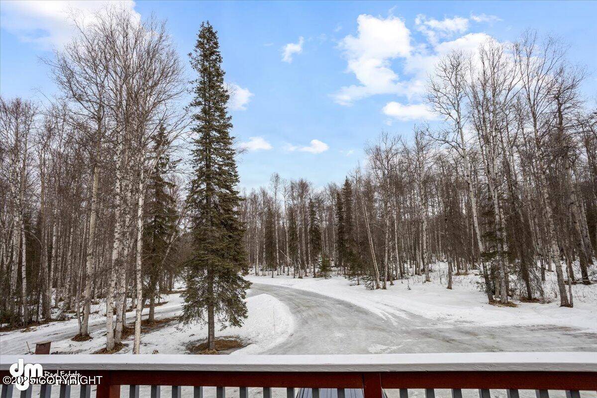 Willow, AK 99688,10588 N Basargin CIR