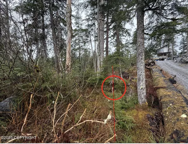 Yakutat, AK 99689,254 Lake ST