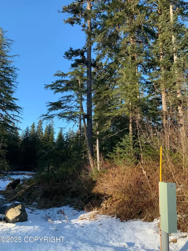 Yakutat, AK 99689,254 Lake ST