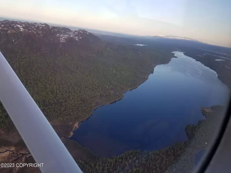 L49B No Road, Skwentna, AK 99667