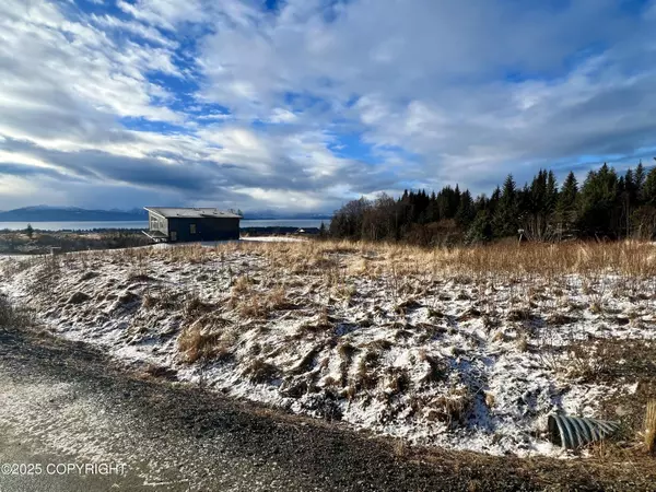 667 Nelson AVE, Homer, AK 99603