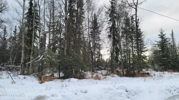 Kenai, AK 99611,1403 Lawton DR