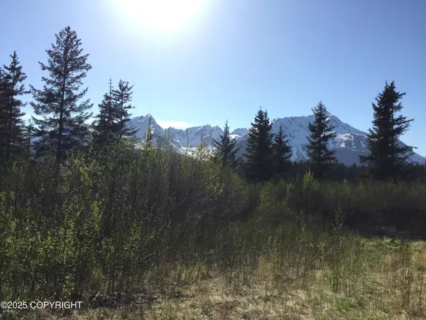 Seward, AK 99664,33089 Clyde King RD