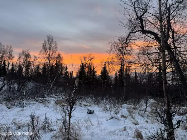 L8 Copper DR, Anchorage, AK 99507