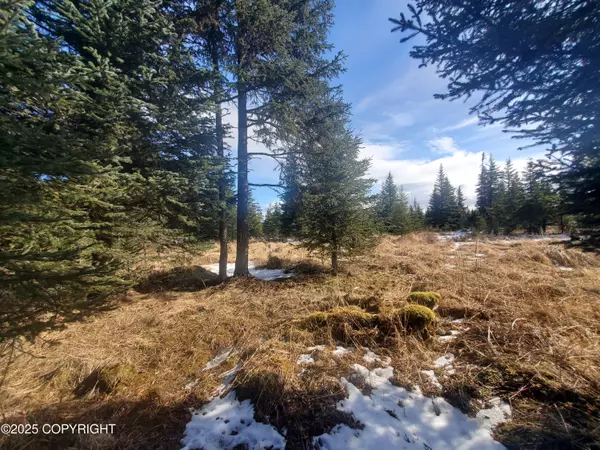 Anchor Point, AK 99556,33550 Sterling HWY