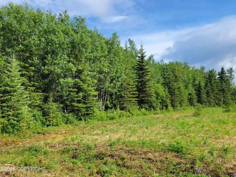 47929 Melinda WAY, Soldotna, AK 99669