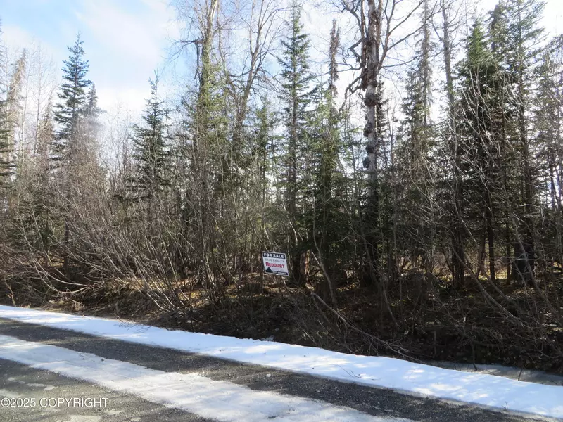 L3F2 High Point AVE, Sterling, AK 99672