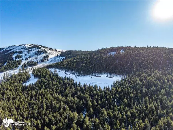 Anchorage, AK 99516,L3 Paine CIR