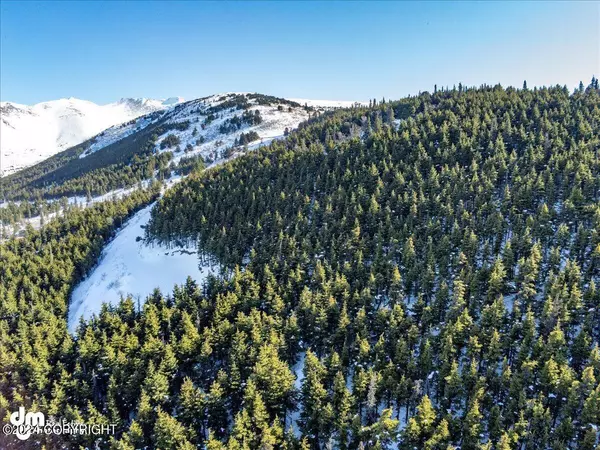 Anchorage, AK 99516,L3 Paine CIR