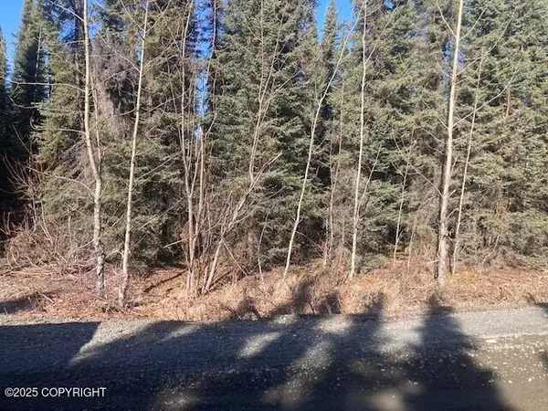 34970 Laura LN, Soldotna, AK 99669