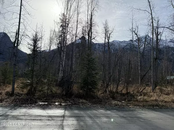 Palmer, AK 99645,9085 S River DR