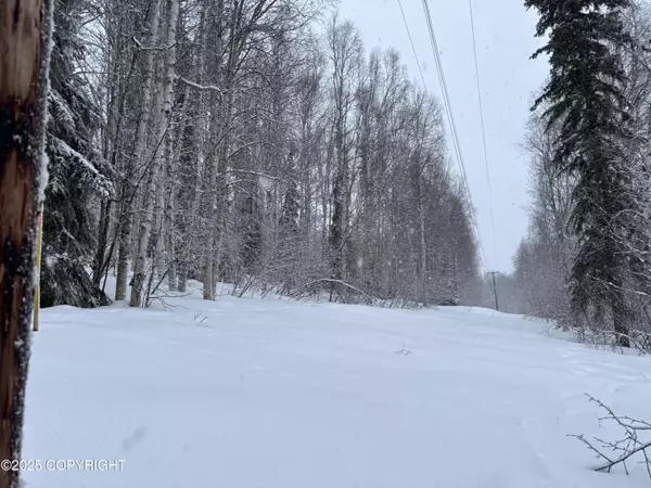 Fairbanks, AK 99709,3388 Moonshine Run