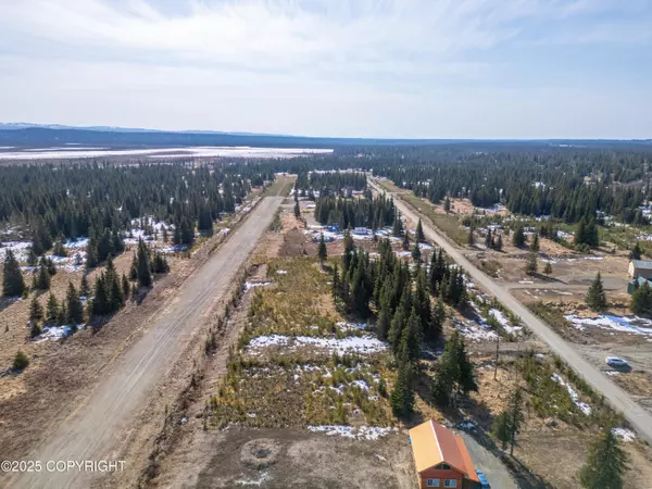 Anchor Point, AK 99556,L15 Sonny ST