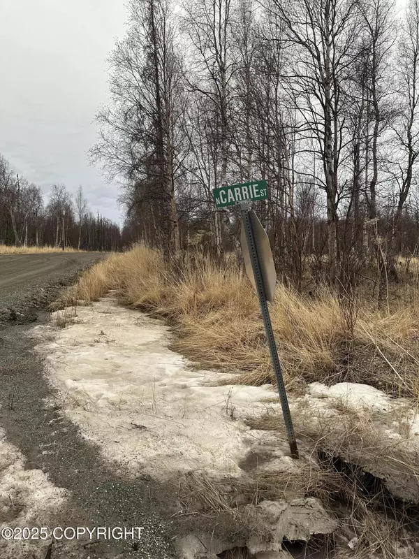 6234 N Carrie ST, Wasilla, AK 99645