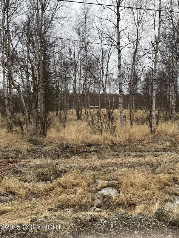 Wasilla, AK 99645,6234 N Carrie ST