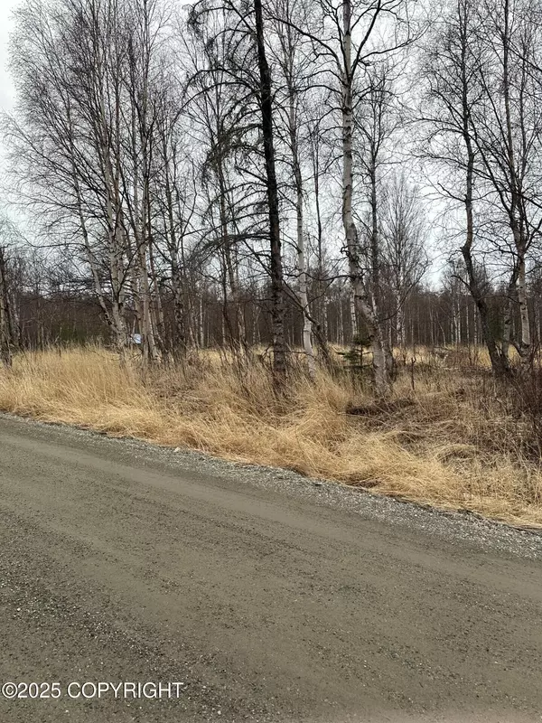 Wasilla, AK 99645,6234 N Carrie ST