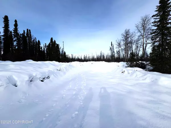 GOV S Leroy Davies RD, Talkeetna, AK 99676