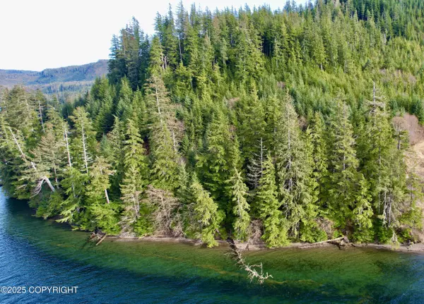 9.2 Mile Port Saint Nicholas Rd, Craig, AK 99921