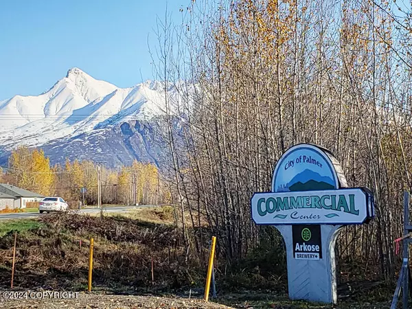 Palmer, AK 99645,650 E Steel LOOP