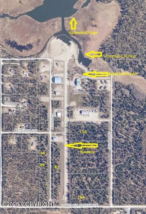 Nikiski/north Kenai, AK 99635,Lot B2 Cessna ST
