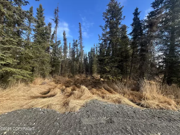 Soldotna, AK 99669,000 Jay ST