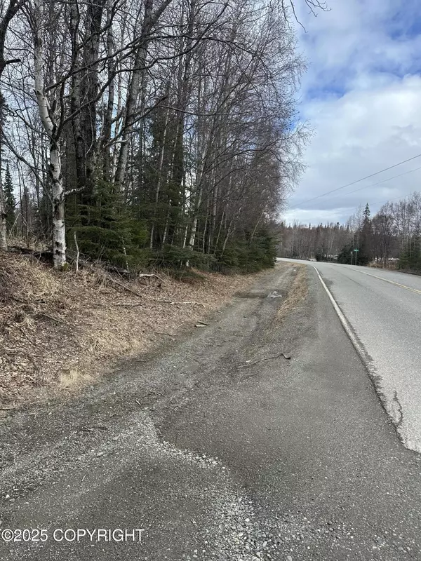 Nikiski/north Kenai, AK 99611,L9-10 B3 Island Lake RD