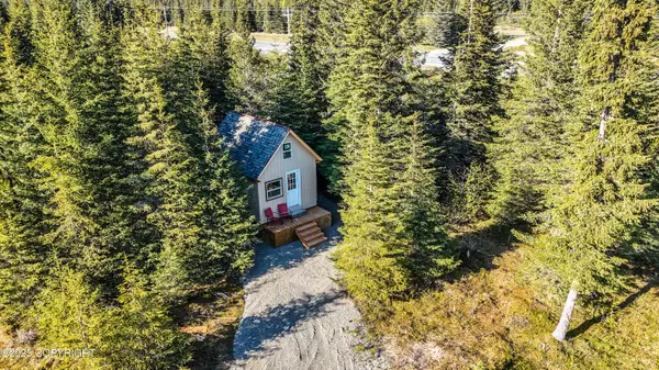Anchor Point, AK 99556,70859 Tall Tree AVE