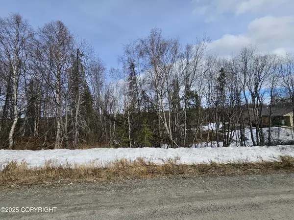 Willow, AK 99688,12937 W Snowberry RD