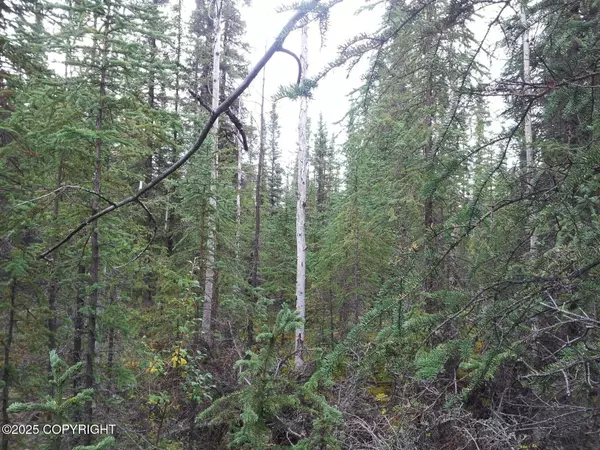 Tok, AK 99780,L6B3 Warbelow Avenue