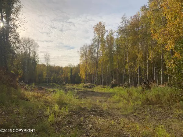 Willow, AK 99688,12918 N Prism DR